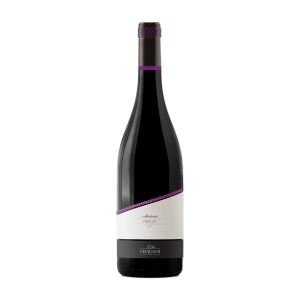 Merlot Terre di Chieti IGT