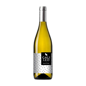 Galileo Bianco, Bianco Italia VT